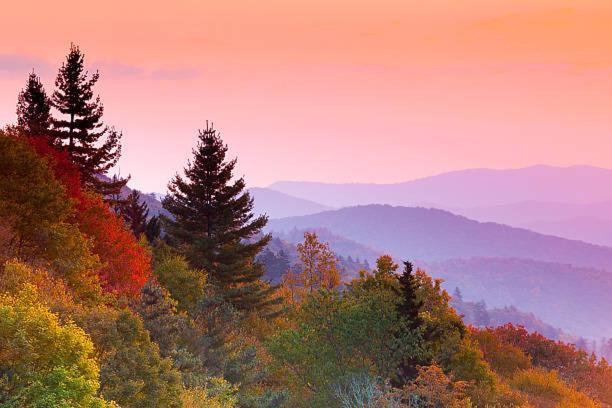 Fantastic Pet Friendly Cabin, Hot Tub, Fire Pit Sevierville Extérieur photo